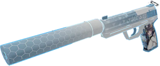 USP-S Honeycomb custom model for CS2